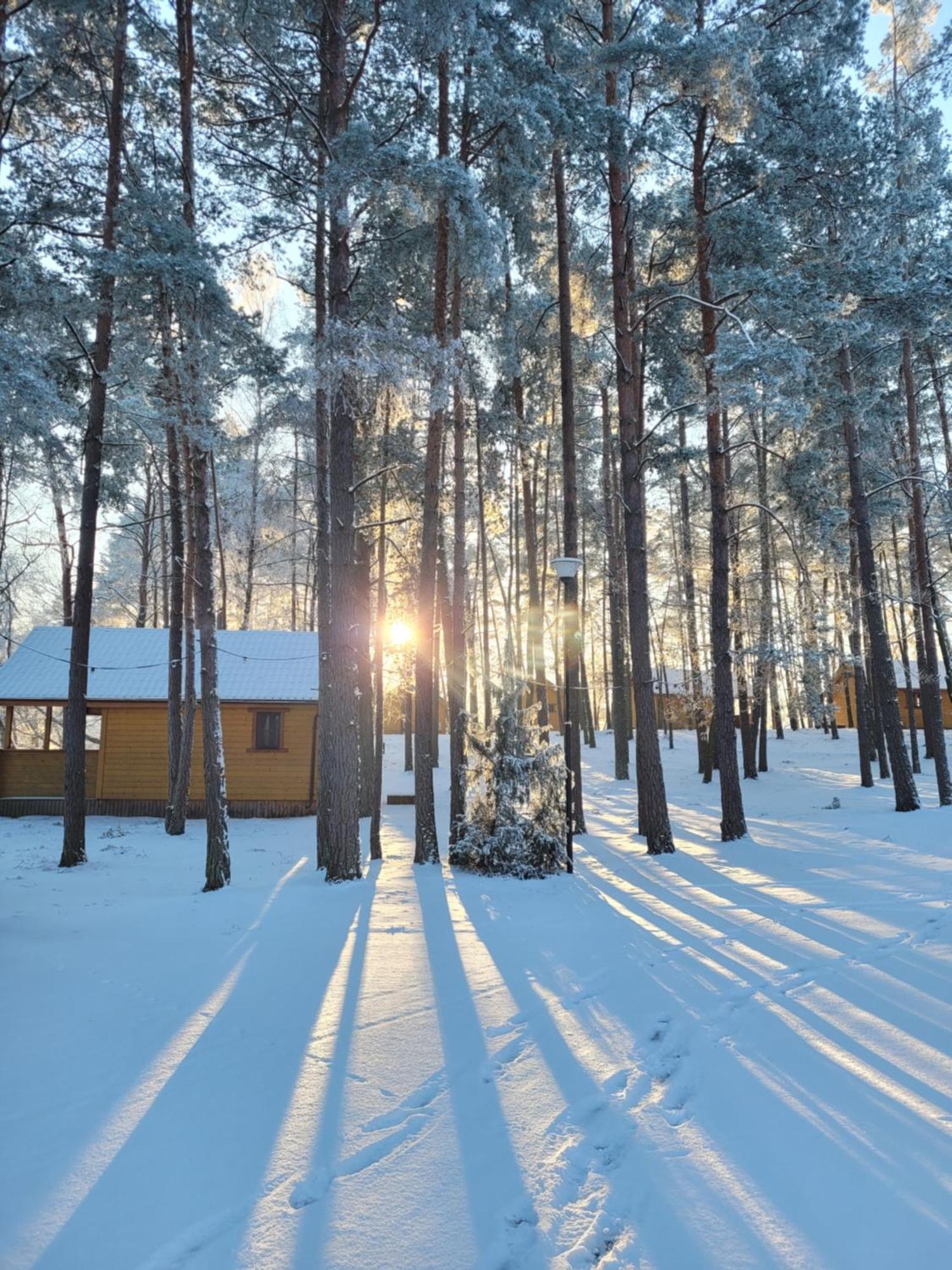 Kompleks Wypoczynkowy Półwysep Lipa Wdzydze Tucholskie Exterior foto