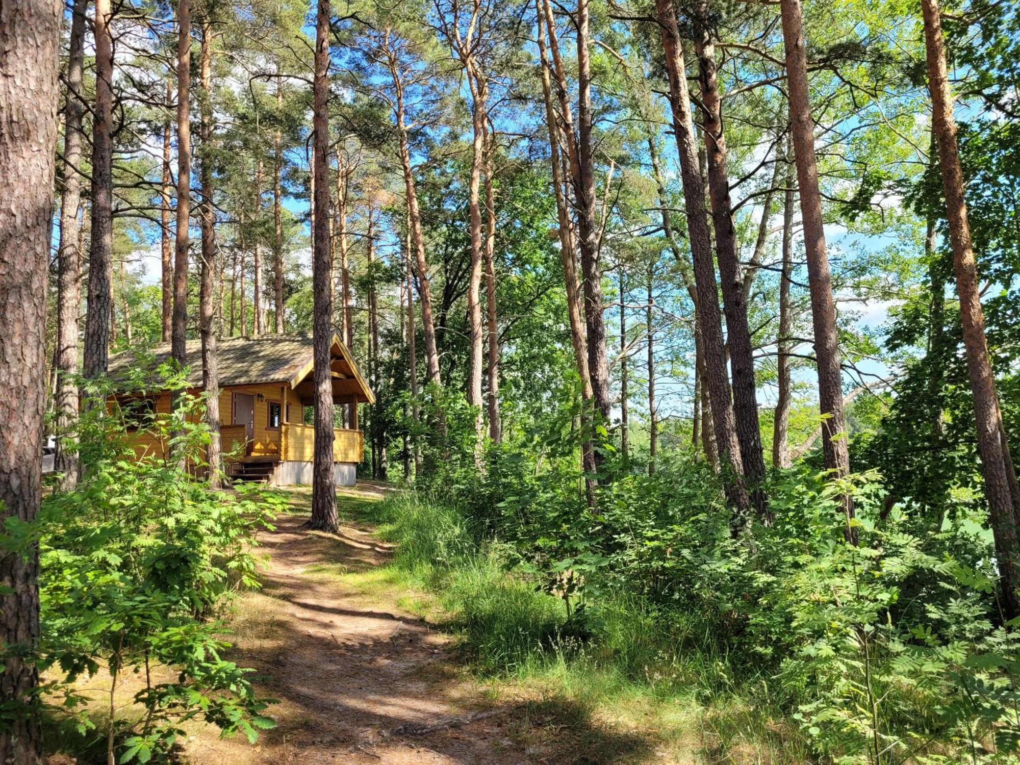 Kompleks Wypoczynkowy Półwysep Lipa Wdzydze Tucholskie Exterior foto